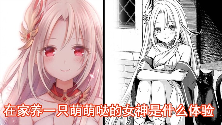 Trải nghiệm nuôi một nữ thần dễ thương tại nhà là như thế nào?