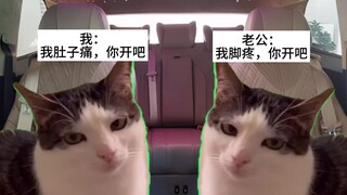 驾照拿到手里车不想开了