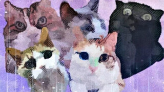 The strange behavior of the other cats in the house after my black cat left... It's really hard to e