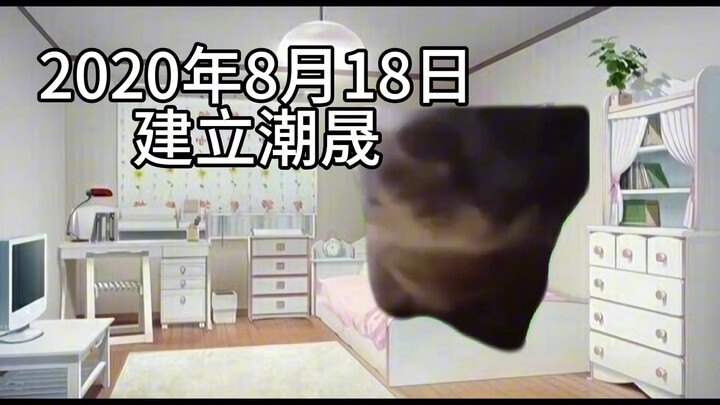 【猫meme】马浩宁成长史
