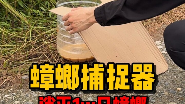 Membuat sendiri alat pemangsa kecoa dengan biaya nol, melenyapkan seratus juta ekor kecoa