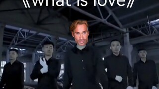 بي واي دي هل يمكن أن تتعطل هكذا؟ جينغهاي تهتز لكن ما هو الحب!