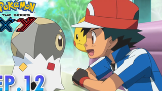 Pokémon the Series XY EP12 ตามจับโจรลักลอบค้าโปเกมอน! Pokémon Thailand Official