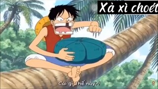 Khoảnh khắc hài hước trong one piece