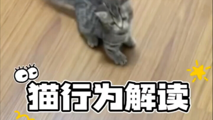 Xiao Biga is just so much fun～