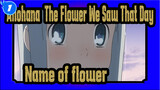 Anohana: The Flower We Saw That Day
Name of flower_1