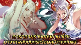 [วันพีช] : การกลายร่างของยามาโตะ มาจากพลังมังกรหรือผลปีศาจกันแน่ !?