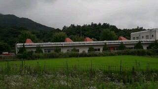 ngôi làng mẹ tôi ở bên nhật