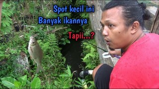 Mancing Di Bawah Jembatan Kecil Ini Banyak Ikannya, Tapi....