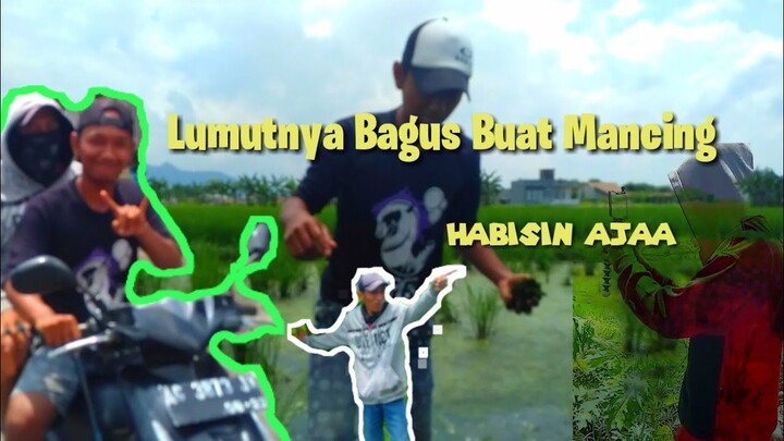 Vlog Susahnya Perjuangan Mencari Lumut.!!!!!!