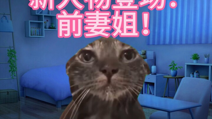 [Cat Meme] So the Ex-Husband Has Become an Ex-Con?? The Truth Behind the Ex-Husband’s Divorce—He Was