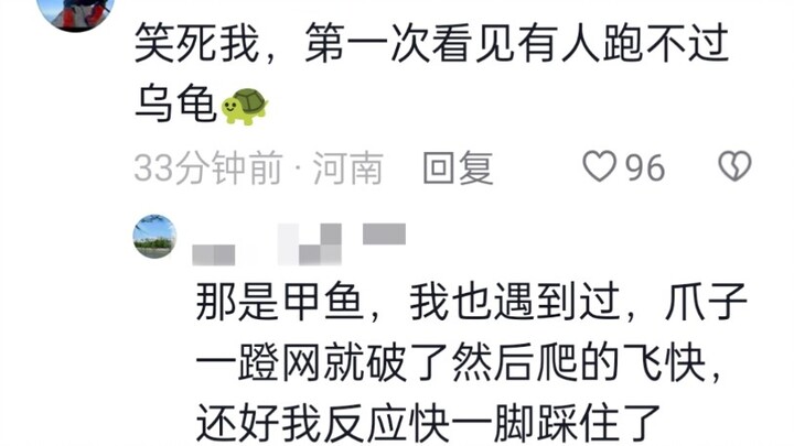 Hahaha! Anh chàng này cả tháng trời ăn cơm cũng chẳng ngon nữa!