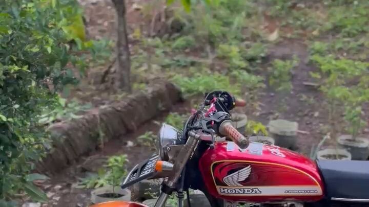 tua tua ganteng