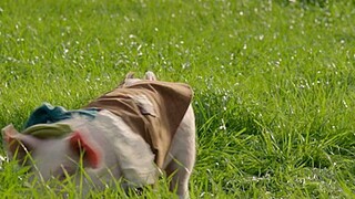 The Hunt