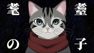 进击的哈基米：🐱耄耋之子🐱