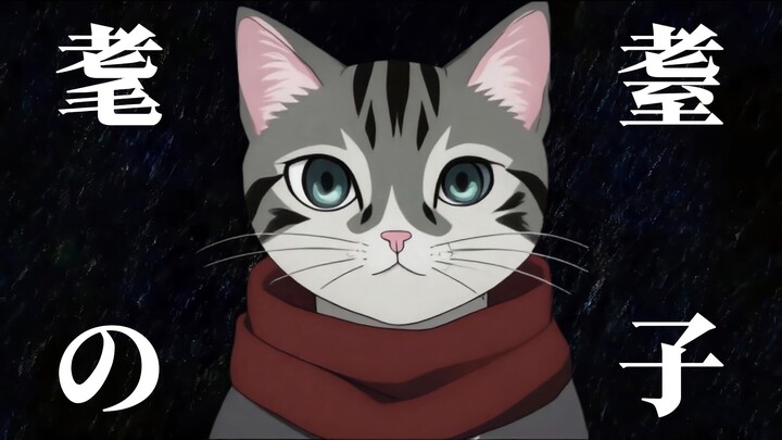 进击的哈基米：🐱耄耋之子🐱