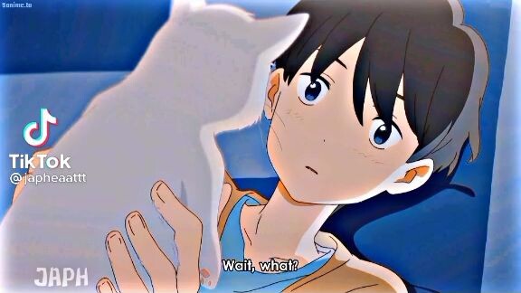 Saying ilove you to a cat🥺