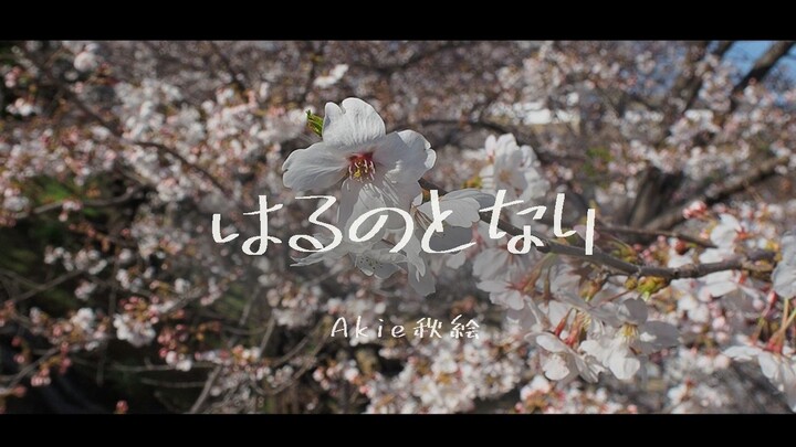 【Akie秋绘】与春为邻『摇曳露营△ 2』ED [PVlog] 既是翻唱又是vlog樱花季日本一人旅游