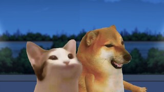 Are you comfortable marrying a rich man?