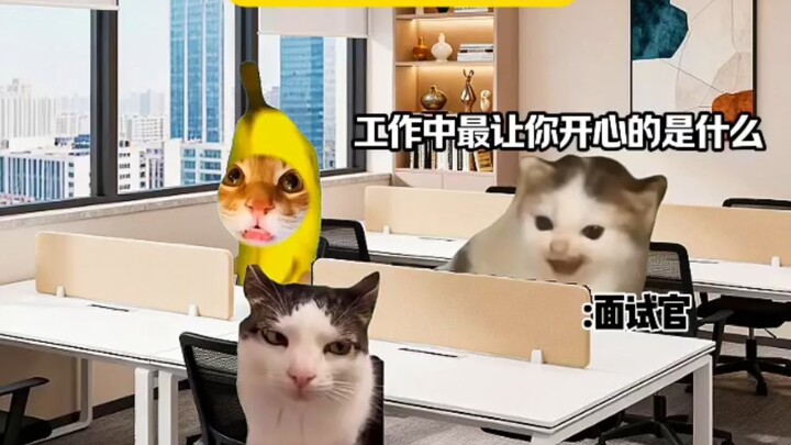 Khi tôi phỏng vấn chỉ nói sự thật