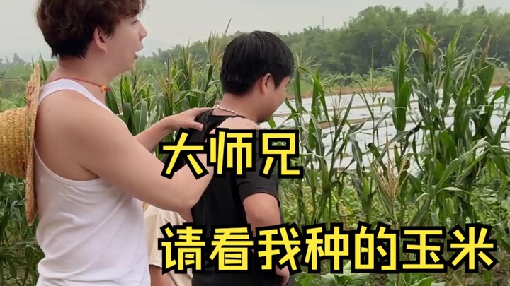 种好了拿去吃，种不好拿去观赏