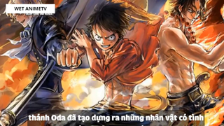 Top 7 Thánh Bựa Cực Kì Lầy Lội Trong One Piece #3 1