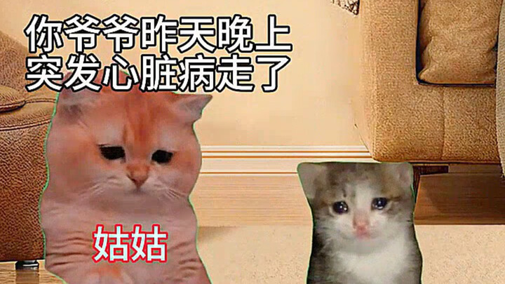 Món quà sinh nhật tuyệt nhất