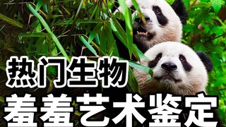How do different animals perform their sexual acts? Identifying the art of animal sexuality!
