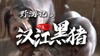 A video just over ten minutes long tells the story of his/her entire life.