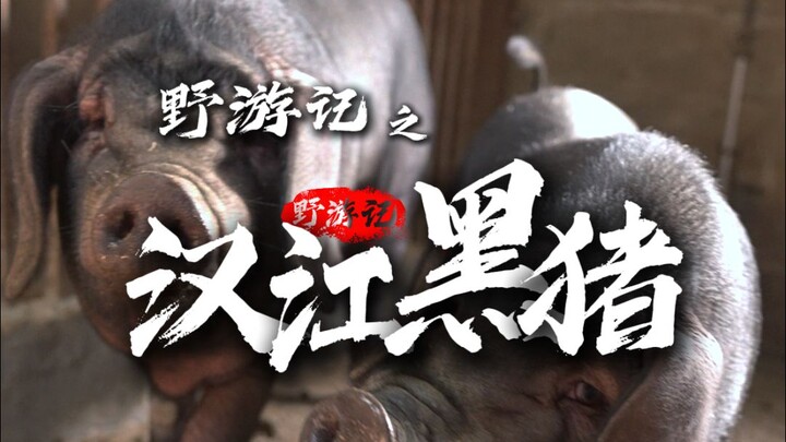 Video hơn mười phút, nhưng lại là câu chuyện cả đời của cậu ấy.