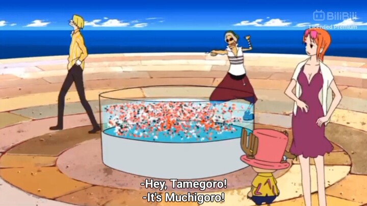 Usopp being a liar and Chopper being stup!d🤣🤣