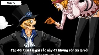Top 8 Cặp Đôi Được Yêu Thích Trong One Piece #5- 6