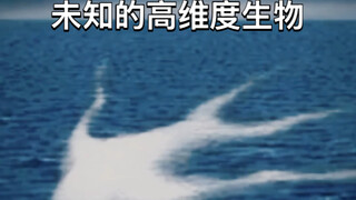 هل هذه الكائنات ذات الأبعاد العالية غير المعروفة موجودة حقًا؟