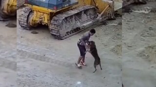 If there weren't any surveillance cameras, you definitely wouldn't believe it!