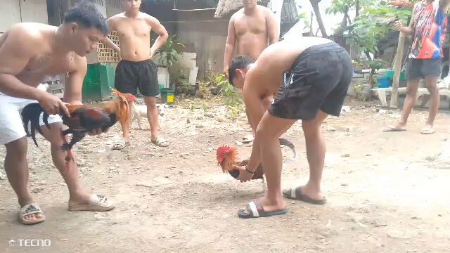 Fs. Boracay Location papawis lang