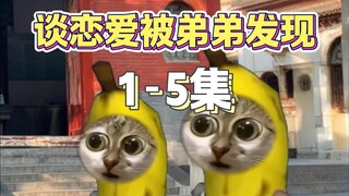 اكتشافي من قبل أخي الأصغر في علاقة (الحلقات 1-5)