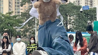 给大家看一张小熊照片