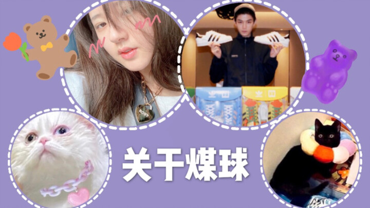 【丁禹兮/赵露思】 关于“煤球”｜露兮小心肝