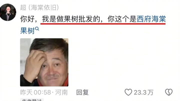 في الفناء الخلفي لمنزلي شجرتان من الكرز، إحداهما شجرة زهر الكرز، والأخرى أيضًا شجرة زهر الكرز.