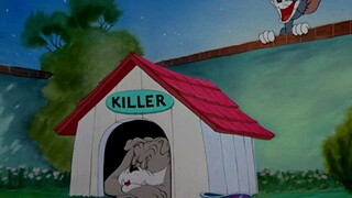 Tom and Jerry || Solid Serenade