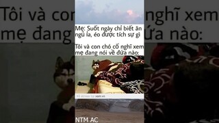 ảnh chế meme thiếu muối  || NTM AC