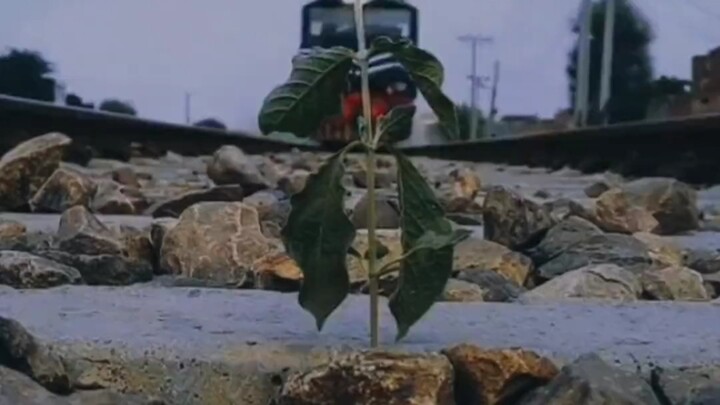 Jika memiliki pilihan, apakah ia akan memilih untuk hidup di lingkungan seperti ini?