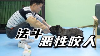 法斗恶性咬人