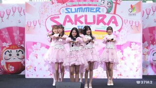 BNK48 - Iiwake Maybe @ Summer Sakura Fest, The Nine Center Tiwanon [Overall Stage 4K 60p] 230401