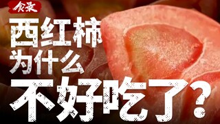 [Food Record] Apakah saya satu-satunya yang berpikir tomat semakin tidak enak?