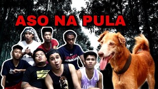 ASO NA PULA | Manok na Pula Parody Tagalog Song By Pulakit - Just Another Woman in Love