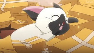 没有猫猫可以拒绝纸箱