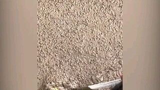 hướng dẫn đưa ông táo về trời