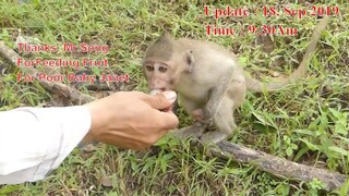 Thanks, Mr.Song For Feed Fruit To Poor Baby Janet Monkey, Janet Fast Running When She Saw Her Mom