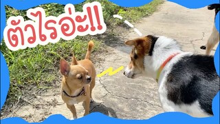 โลกของแสนดี ตอน เตี้ยทำเก่ง
